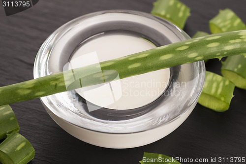 Image of aloe vera - leaves and cream