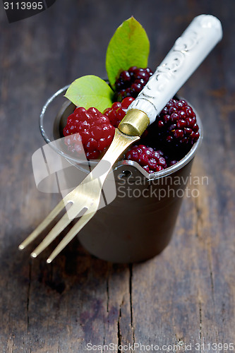 Image of Fresh blackberries 