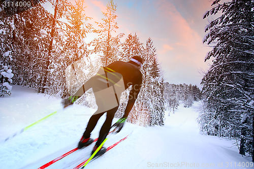 Image of Cross-country skiing in Sweden