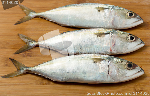 Image of Three small fishes