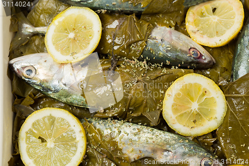 Image of Fish in vine leaves