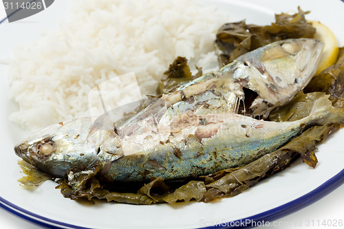 Image of Fish in vine leaves