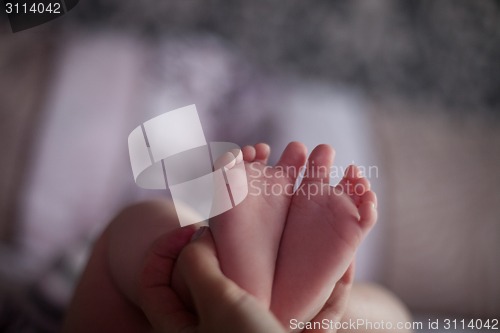 Image of Newborn baby feet