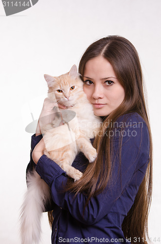 Image of The girl is holding a red cat