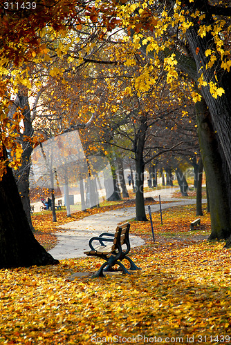 Image of Autumn park