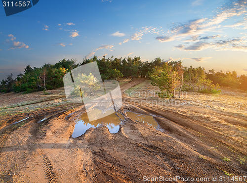 Image of Puddle on road