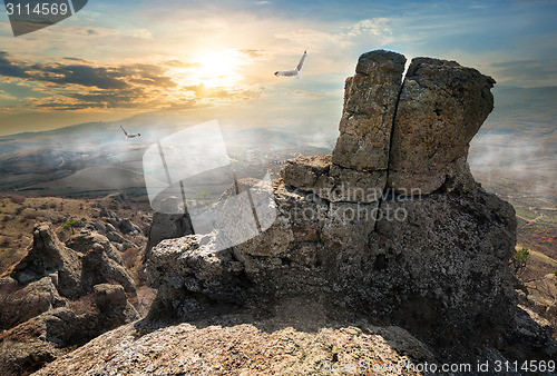 Image of Birds over valley