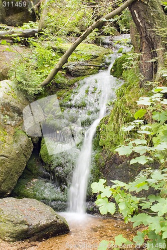 Image of Stream in the Green