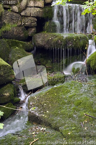 Image of Stream in the Green