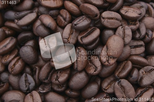 Image of Coffee Beans