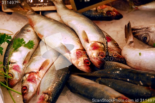 Image of Whole fish