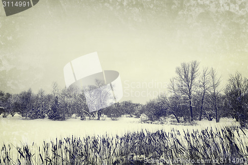 Image of Winter lake and trees, vintage style photo