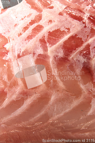 Image of Raw fish fillet