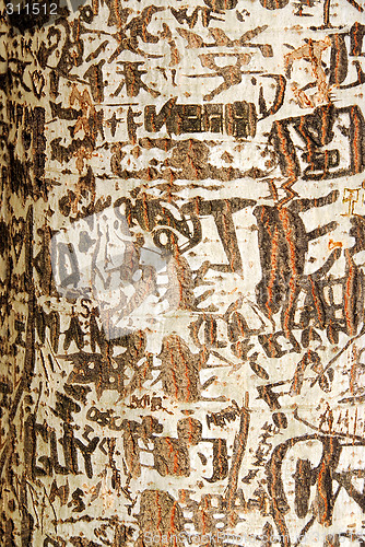 Image of Graffiti