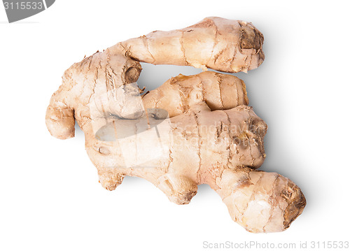 Image of Entire ginger root top view