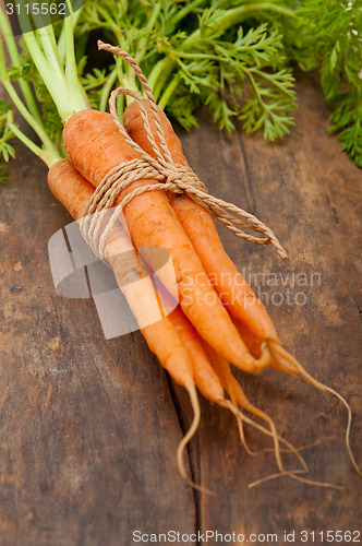 Image of baby carrots bunch tied with rope