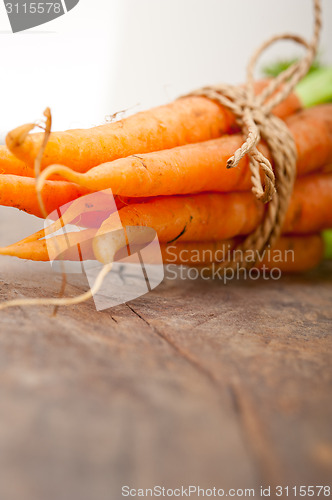 Image of baby carrots bunch tied with rope