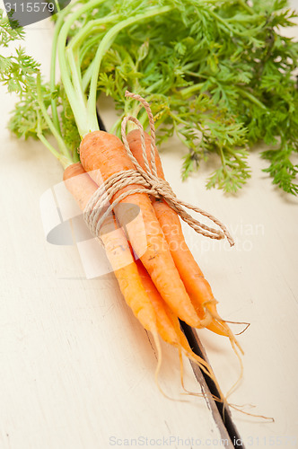 Image of baby carrots bunch tied with rope