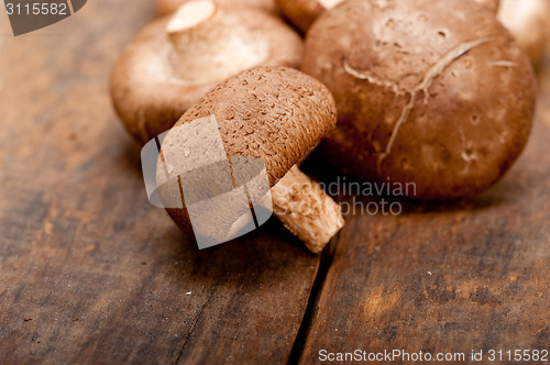 Image of shiitake mushrooms