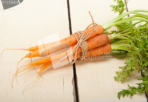 Image of baby carrots bunch tied with rope