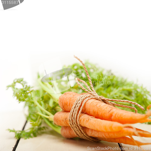 Image of baby carrots bunch tied with rope