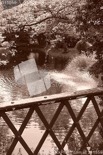 Image of Park