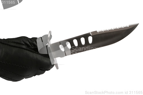 Image of Hunting knife