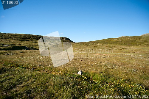 Image of Mountain plateau Valdresflye, Jotunheimen, Norway