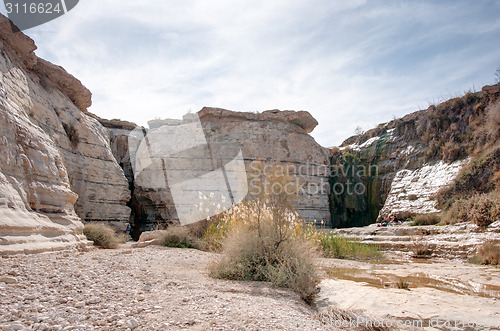 Image of Water spring in a desert