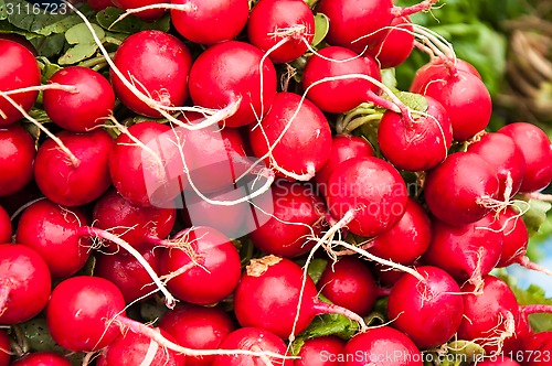 Image of Fresh vegetables and herbs are sold at the Bazaar