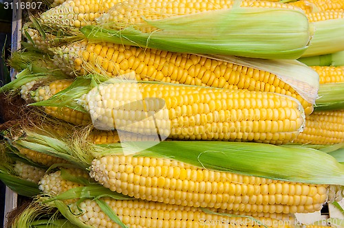 Image of Corn is on sale at the Bazaar