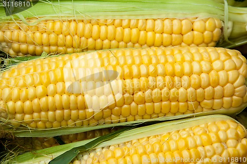 Image of Corn is on sale at the Bazaar