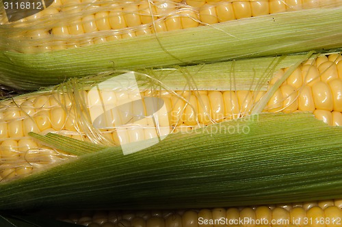 Image of Corn is on sale at the Bazaar