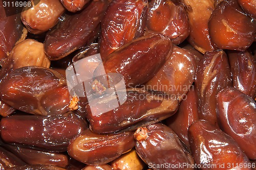 Image of Tunisian Dates