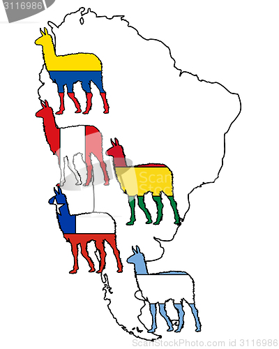 Image of Lama South America