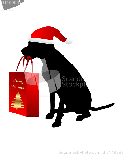 Image of Dog with christmas gift