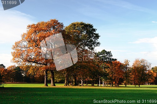 Image of Autumn Park