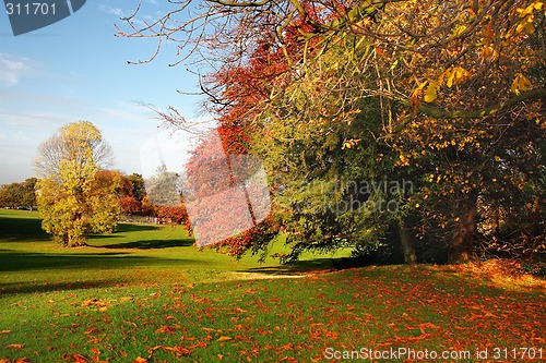 Image of Colorful Autumn Scene