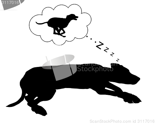 Image of Dog dreams