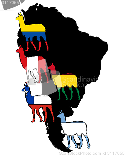 Image of Lama South America