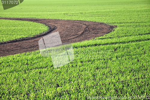 Image of Way through the fresh green