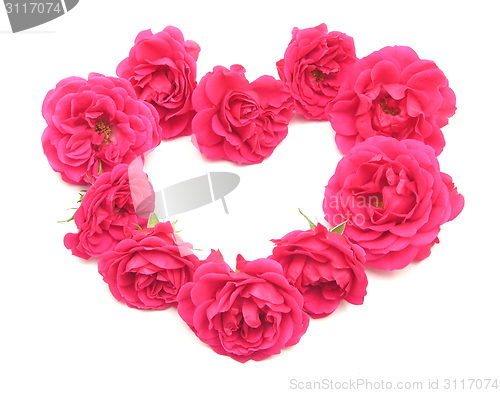 Image of Red roses arranged as heart on white