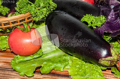 Image of Eggplant and fresh herbs