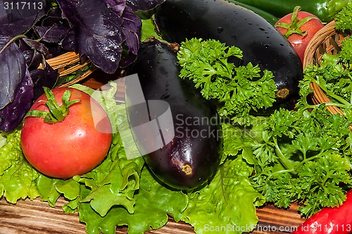 Image of Eggplant and fresh herbs