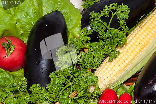 Image of Eggplant and fresh herbs