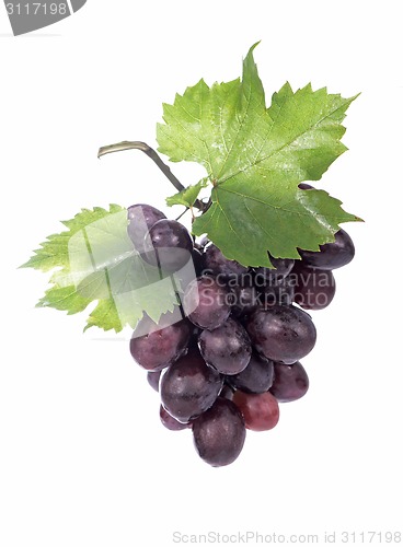 Image of Grape cluster with leaves isolated