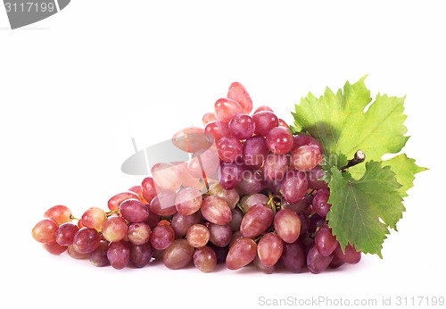 Image of Grape cluster with leaves isolated