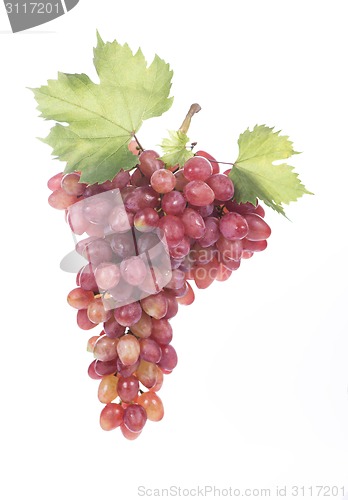 Image of Grape cluster with leaves isolated