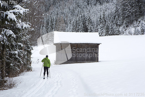 Image of Cross-country skiers in the forest