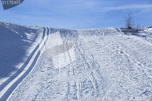 Image of Cross-country skiing trail